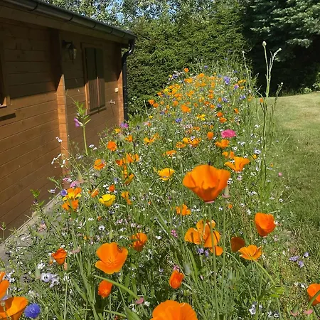 Apartament Log At Iron Rose In Czech Canada *