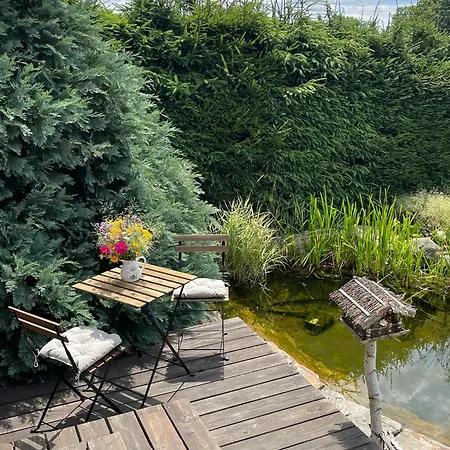 Log At Iron Rose In Czech Canada * Nová Bystřice