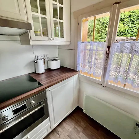 Apartament Log At Iron Rose In Czech Canada Nová Bystřice